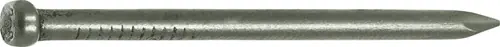 Connex Nagel Ronde Kop 1.6X30 750G Fe - KK1021630 | Topkwaliteit